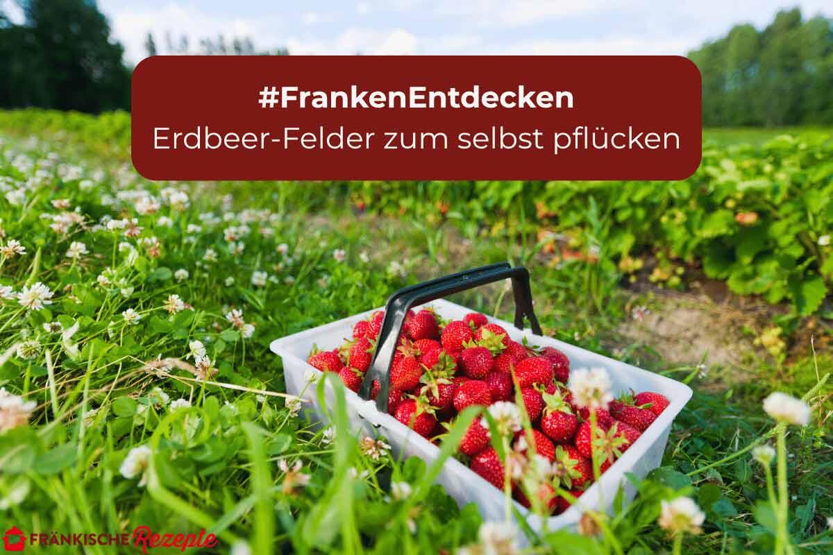 franken-entdecken_erdbeerfelder.jpg