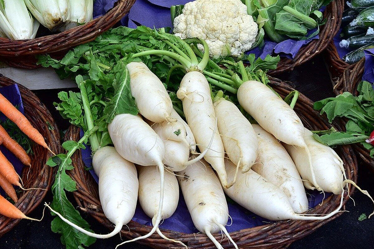 rettich_f.jpg