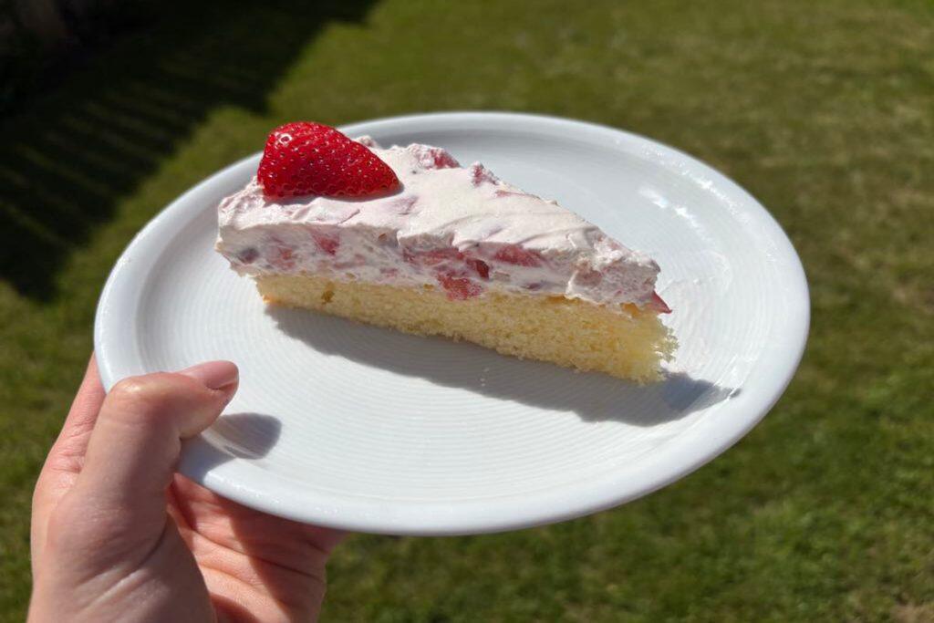 stueck-fantakuchen-erdbeeren-1024x683.jpg