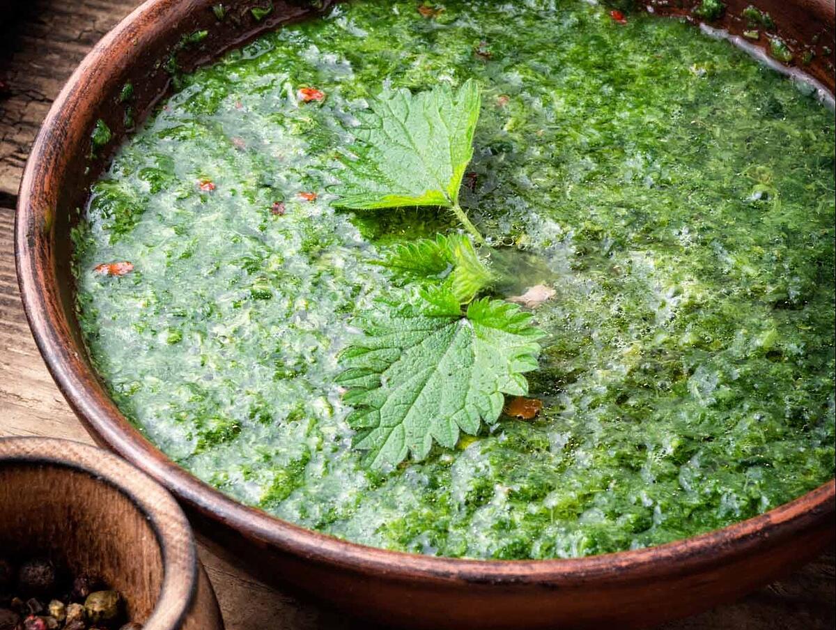 Brennnesselsuppe.jpeg-e1571392476397.jpg
