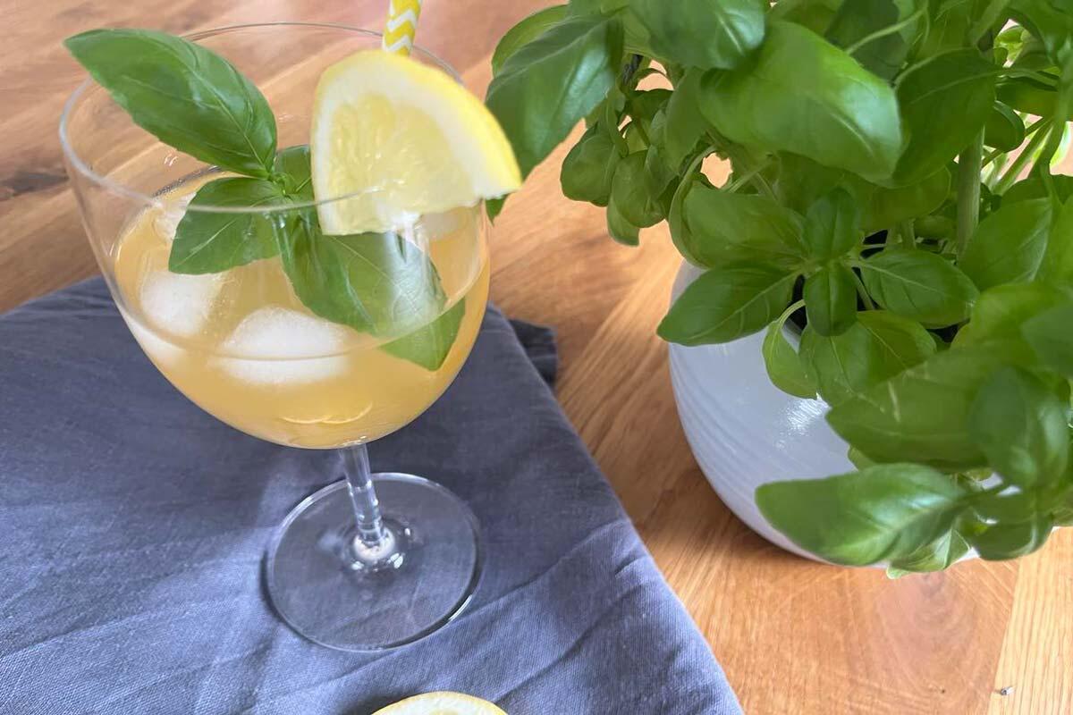 basilikumspritz.jpg