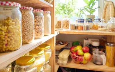 Lebensmittelmotten in der Küche – Das hilft wirklich gegen die unerwünschten Gäste